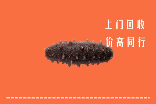 沂源县回收海参